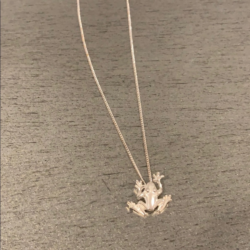 SILVER FROG NECKLACE